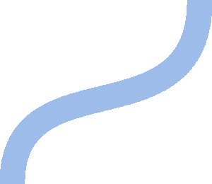 bb405549 line shape 03 300x260 (1)